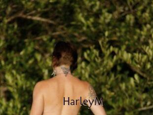 HarleyM