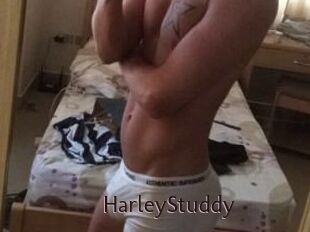 HarleyStuddy