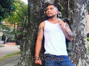 HarveyRose