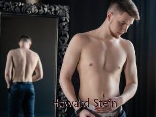 Howard_Stein