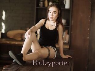 Halleyporter