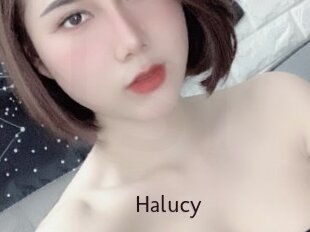 Halucy