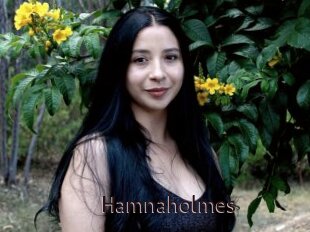 Hamnaholmes