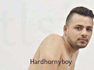 Hardhornyboy