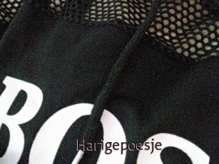Harigepoesje