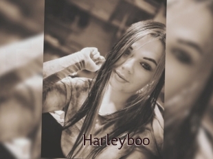 Harleyboo