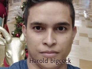 Harold_bigcock