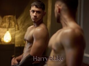 Harryblake