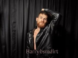 Harrybsmdirt
