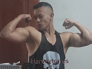 Harveytorres