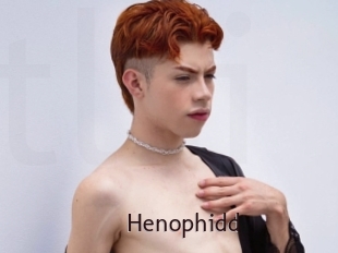 Henophidd