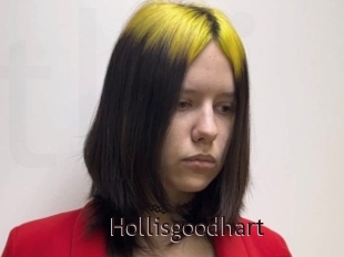 Hollisgoodhart