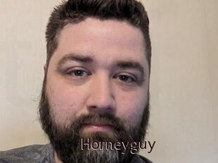Horneyguy