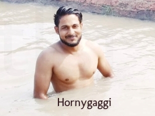 Hornygaggi