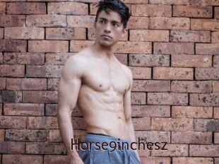 Horse9inchesz