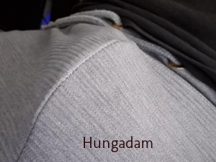 hungadam Top listen server