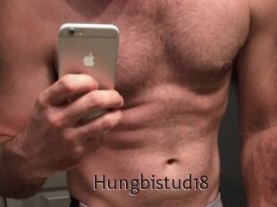 Hungbistud18