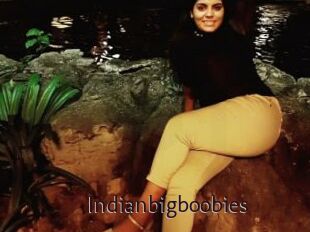Indianbigboobies