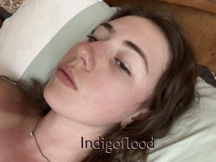 Indigoflood