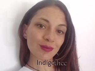 Indigothcc