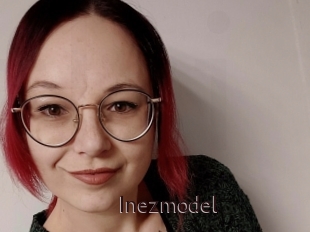 Inezmodel