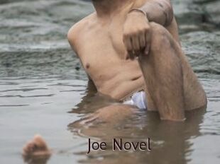 Joe_Novel