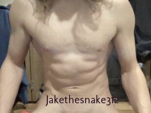 Jakethesnake312