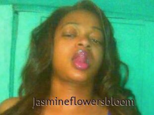Jasmineflowersbloom