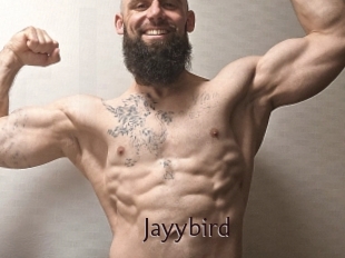 Jayybird