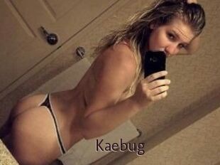 Kaebug