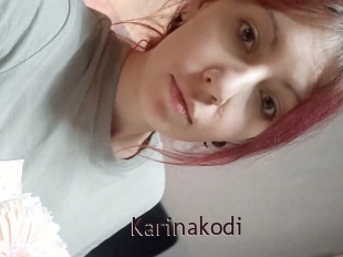 Karinakodi