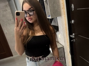 Karinamikus