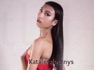 kataleyahornys Top listen server