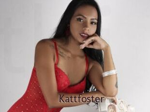 Kattfoster