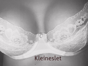 Kleineslet