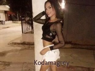 Kodamagrey