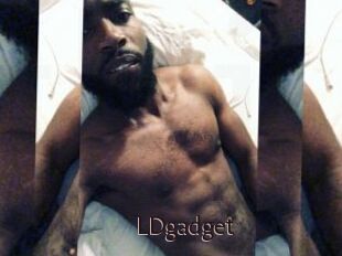 LDgadget