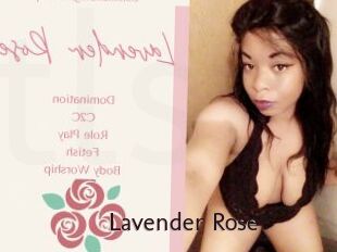 Lavender_Rose
