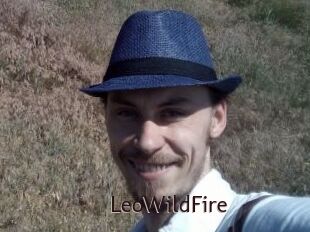 LeoWildFire
