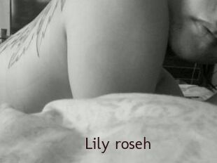 Lily_roseh