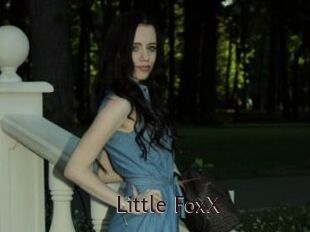 Little_FoxX