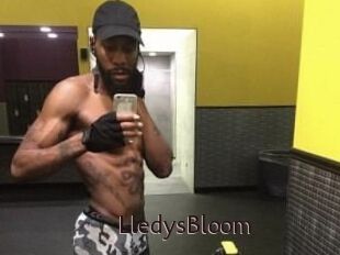 Lledys_Bloom