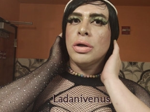 Ladanivenus
