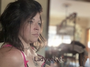 Ladyvelvet