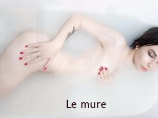 Le_mure