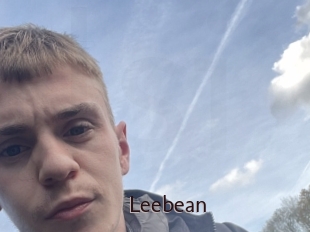 leebean Top listen server