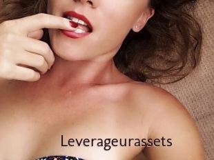 Leverageurassets