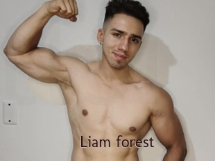 Liam_forest