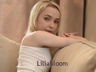 Lillabloom