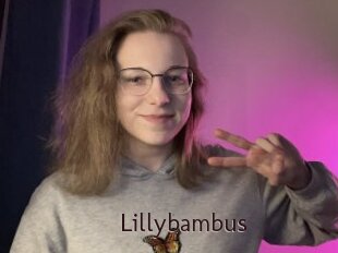 Lillybambus